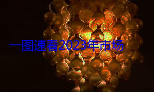 023年市场监管法治一图速看2工作成效