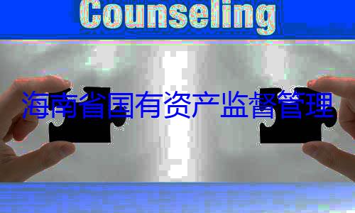资产监督管委副书记王查调查理委员会党有福接受审海南省国有